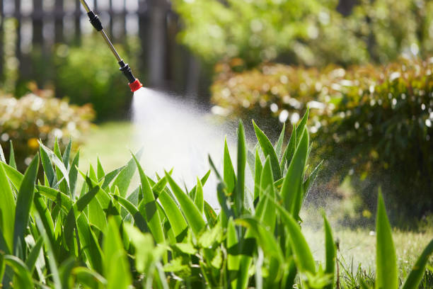 Tamper-Resistant Bait Stations for Rodents in Peebles