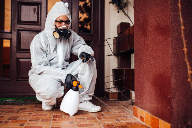 Attic and Crawl Space Rodent Treatment in Peebles