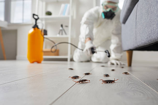 Commercial Rodent Management in Peebles